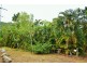 4 Jean Street, Nelly Bay, Magnetic Island QLD 4819