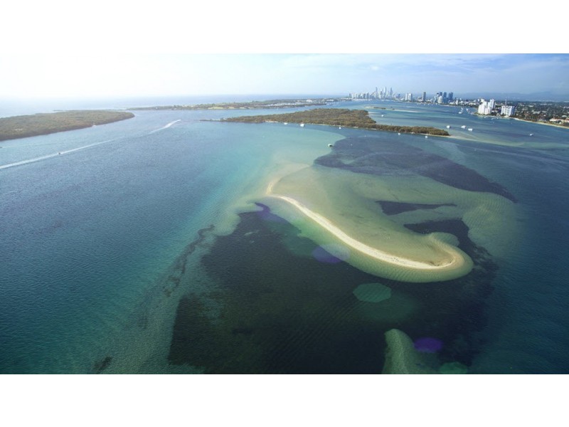 93 Sheehan Avenue, Hope Island QLD 4212