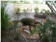 4a VENTURA ROAD, Mermaid Beach QLD 4218