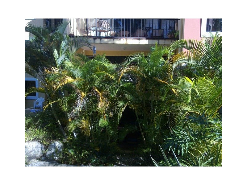 B20 Magic Mountain Apartments, Miami QLD 4220