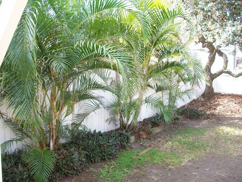 66 ALBATROSS AVENUE, Mermaid Beach QLD 4218