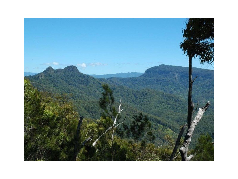 142 RYANS ROAD, Tallebudgera Valley QLD 4228