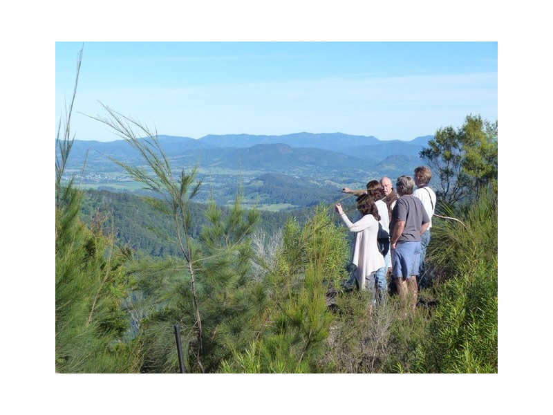 142 RYANS ROAD, Tallebudgera Valley QLD 4228