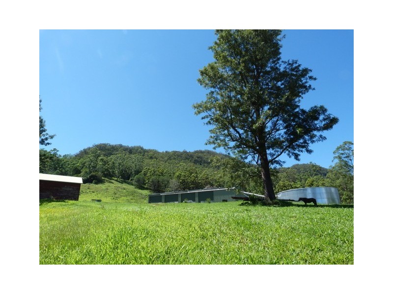 142 RYANS ROAD, Tallebudgera Valley QLD 4228