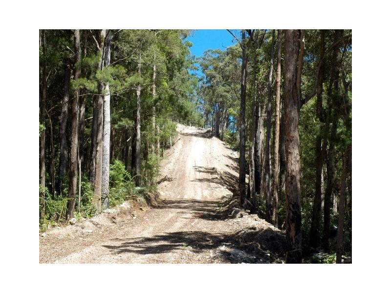 142 RYANS ROAD, Tallebudgera Valley QLD 4228