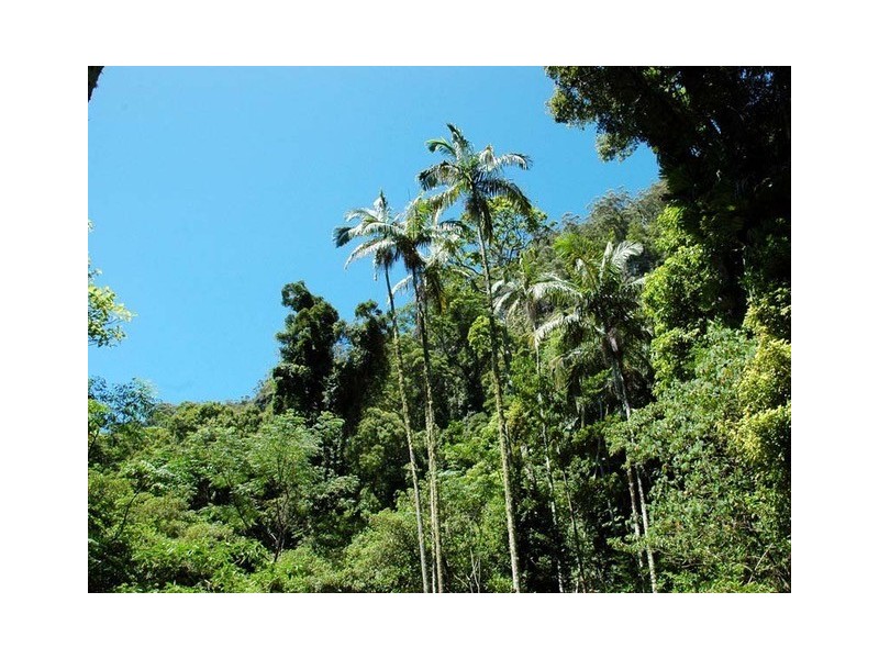 142 RYANS ROAD, Tallebudgera Valley QLD 4228