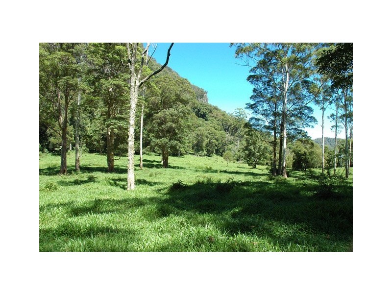 142 RYANS ROAD, Tallebudgera Valley QLD 4228