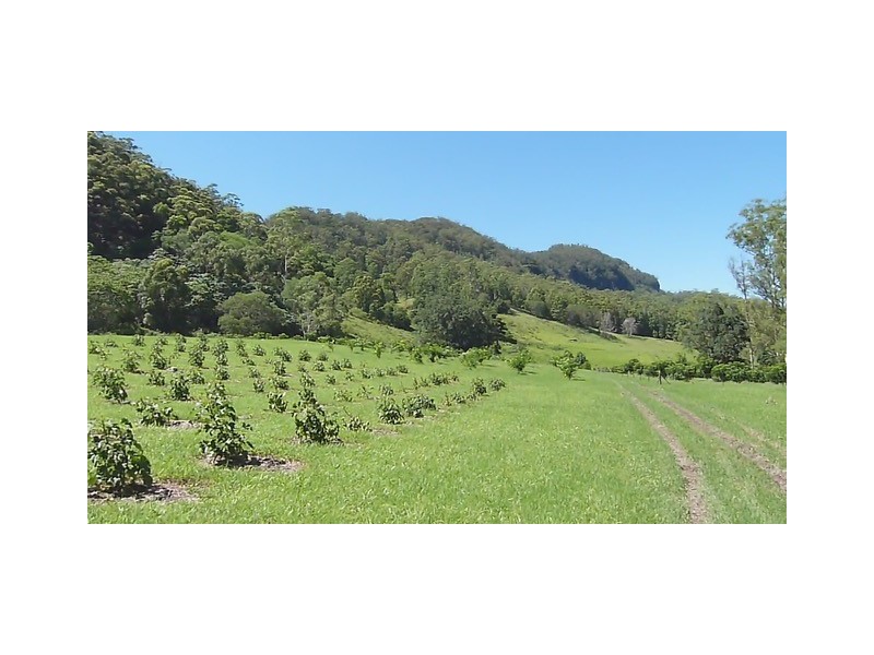 142 RYANS ROAD, Tallebudgera Valley QLD 4228