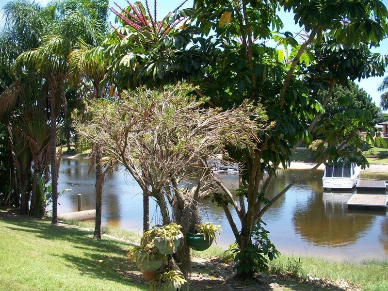 6/39 Karbunya Street, Mermaid Waters QLD 4218