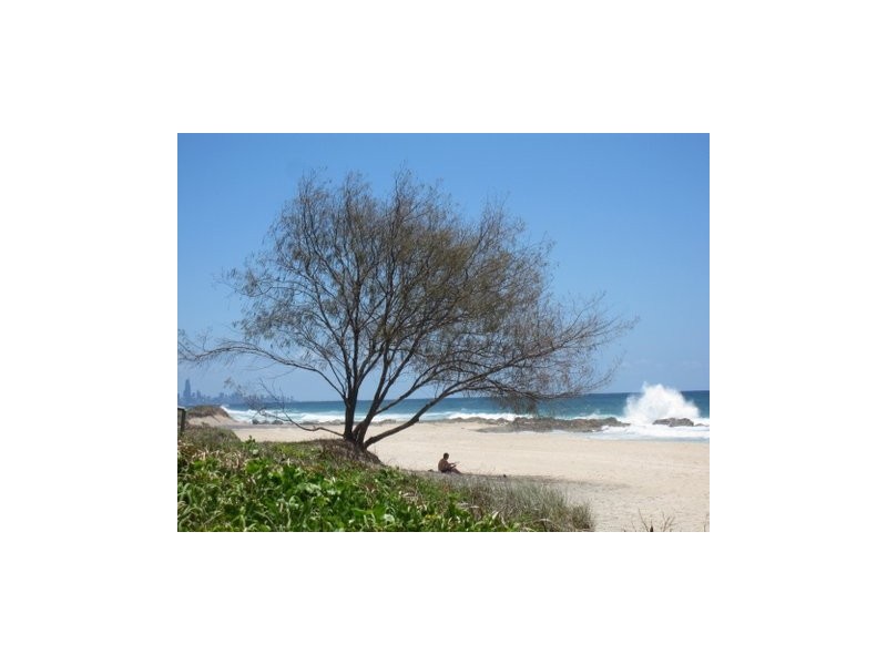 11 Elizabeth Street, Tugun QLD 4224