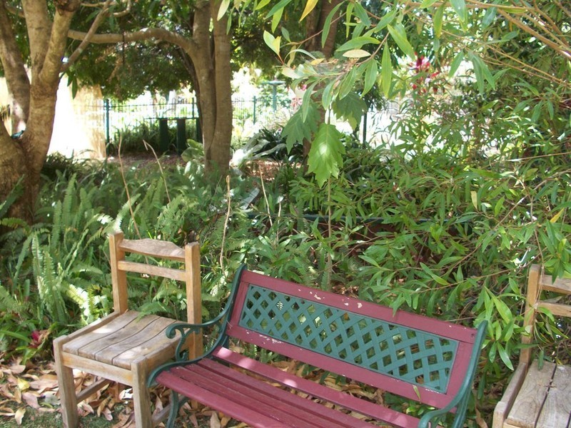 16A Camphorlaurel Court, Tallebudgera Valley QLD 4228