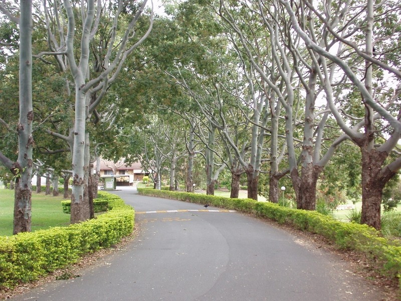 57/170 Bardon Ave, Miami QLD 4220