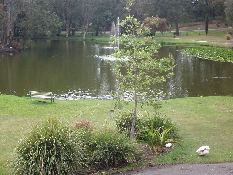 57/170 Bardon Ave, Miami QLD 4220