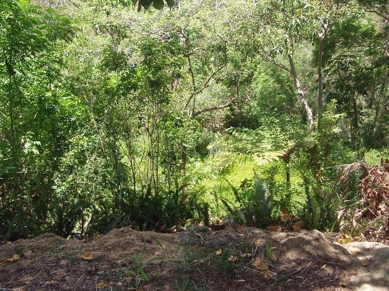 19 Tanjenong Place, Burleigh Heads QLD 4220