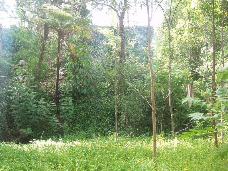 19 Tanjenong Place, Burleigh Heads QLD 4220