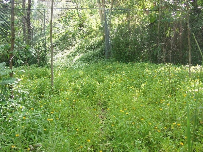 19 Tanjenong Place, Burleigh Heads QLD 4220