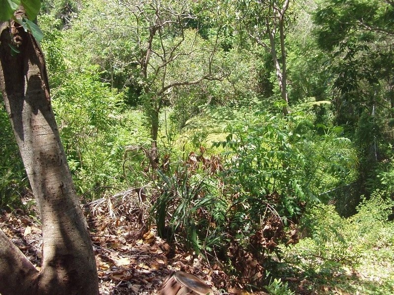 19 Tanjenong Place, Burleigh Heads QLD 4220