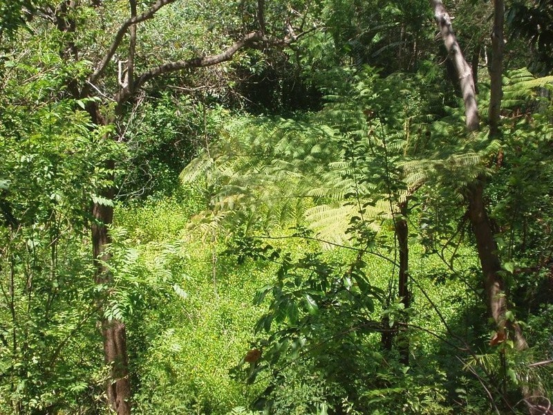 19 Tanjenong Place, Burleigh Heads QLD 4220