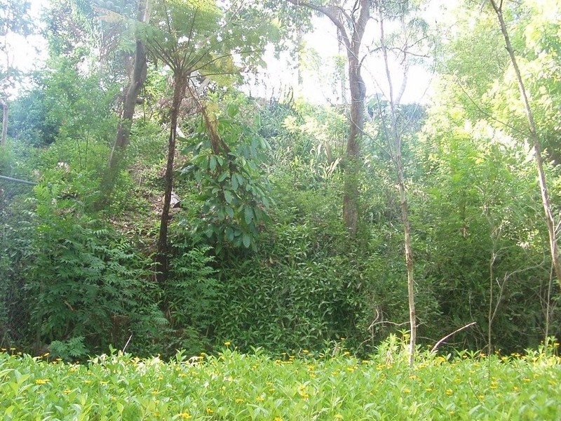 19 Tanjenong Place, Burleigh Heads QLD 4220