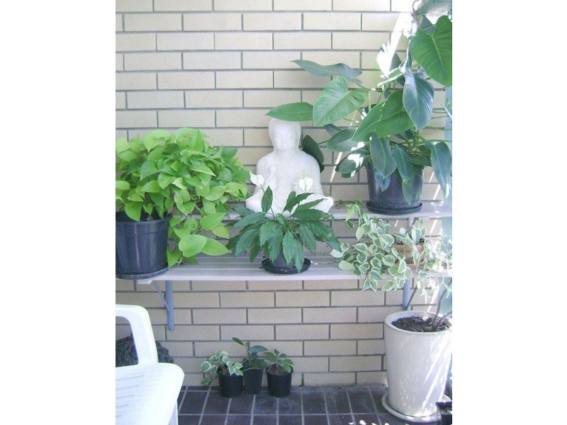 2/30 Duet Drive, Mermaid Waters QLD 4218