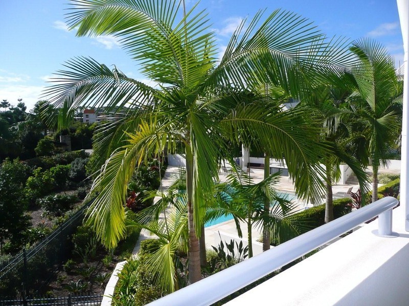 46/228 Varsity Parade, Varsity Lakes QLD 4227