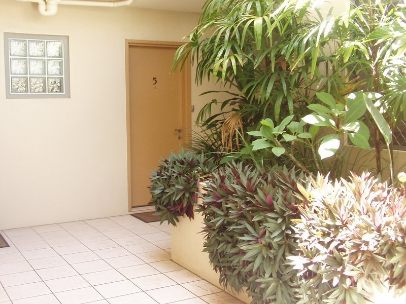 53 Petrel Avenue, Mermaid Beach QLD 4218