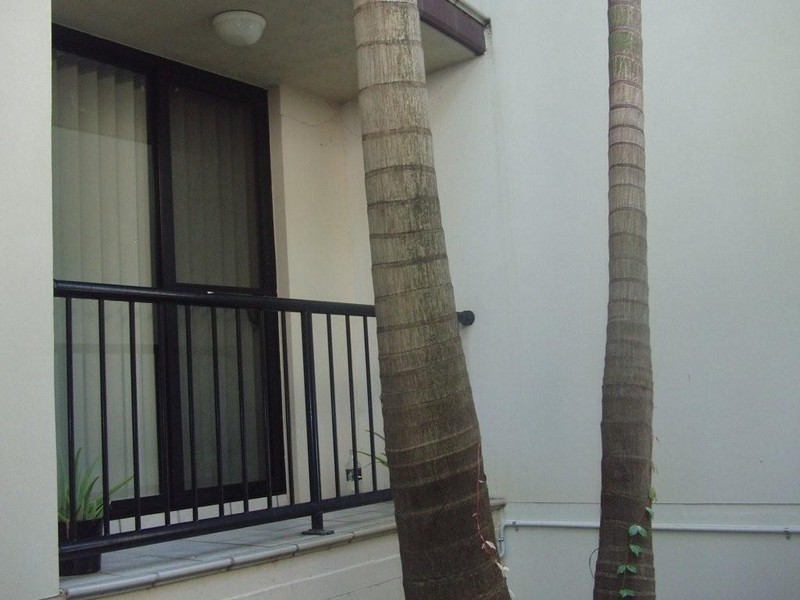 16/14 Markeri Street, Mermaid Beach QLD 4218