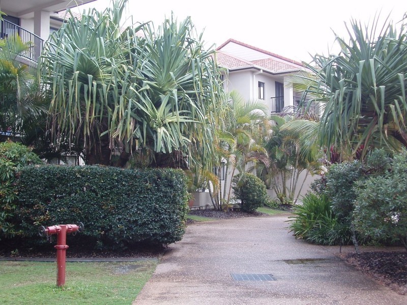 16/14 Markeri Street, Mermaid Beach QLD 4218