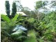 47 Bains Road, Currumbin Valley QLD 4223