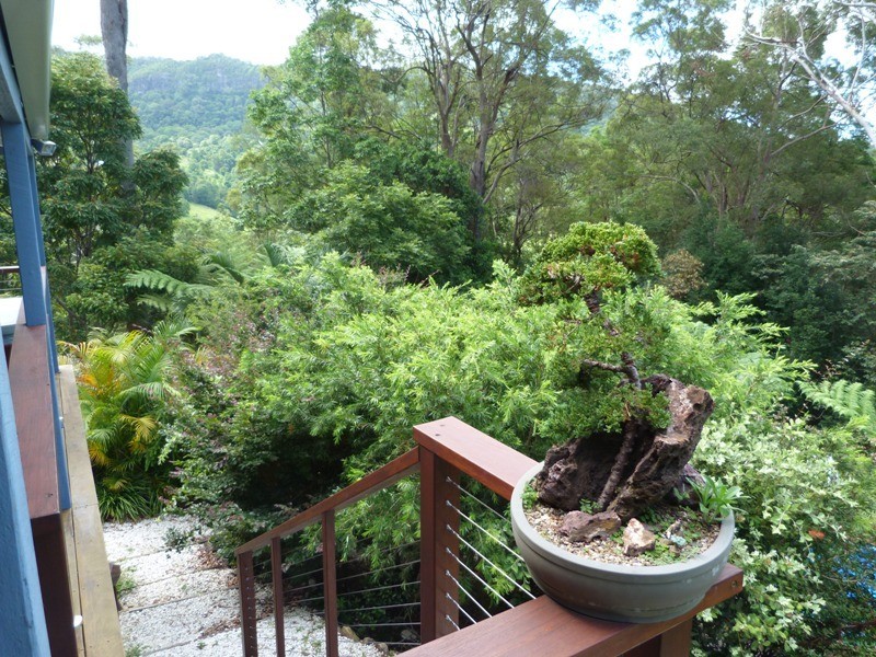 47 Bains Road, Currumbin Valley QLD 4223