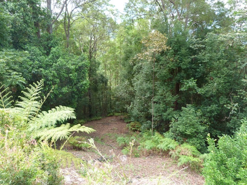 47 Bains Road, Currumbin Valley QLD 4223