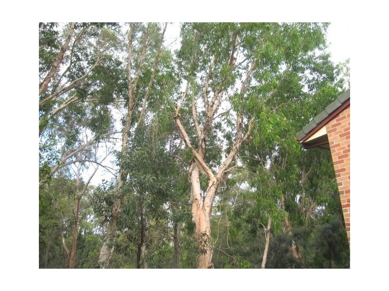 24/2 Simpsons Road, Currumbin Waters QLD 4223