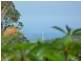 Elanora QLD 4221