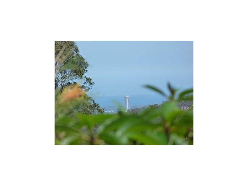 Elanora QLD 4221