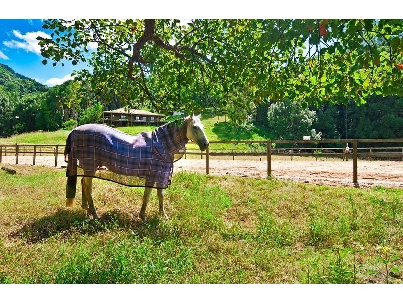 1186 Currumbin Creek Road, Currumbin Valley QLD 4223