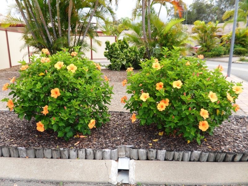 @128 Benowa Road, Southport QLD 4215