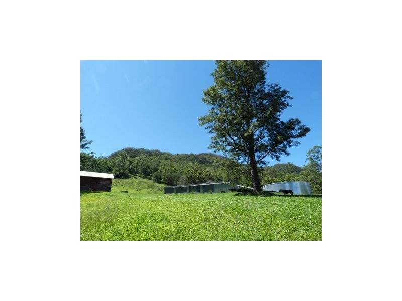 @ Ryans Road, Tallebudgera Valley QLD 4228