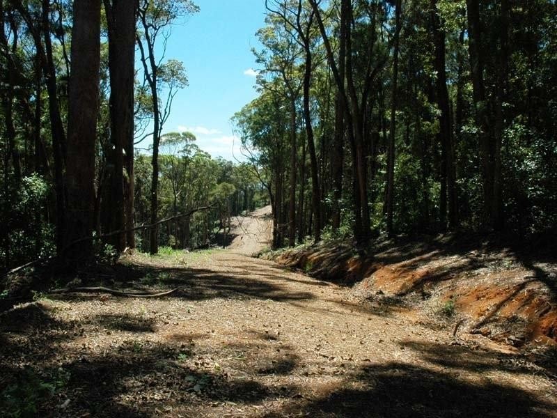 @ Ryans Road, Tallebudgera Valley QLD 4228