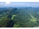 Tallebudgera Valley QLD 4228