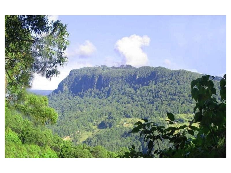 Tallebudgera Valley QLD 4228