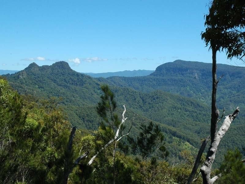 Tallebudgera Valley QLD 4228