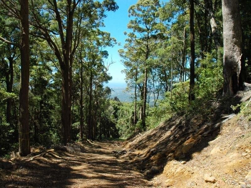 Tallebudgera Valley QLD 4228
