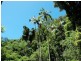 Tallebudgera Valley QLD 4228