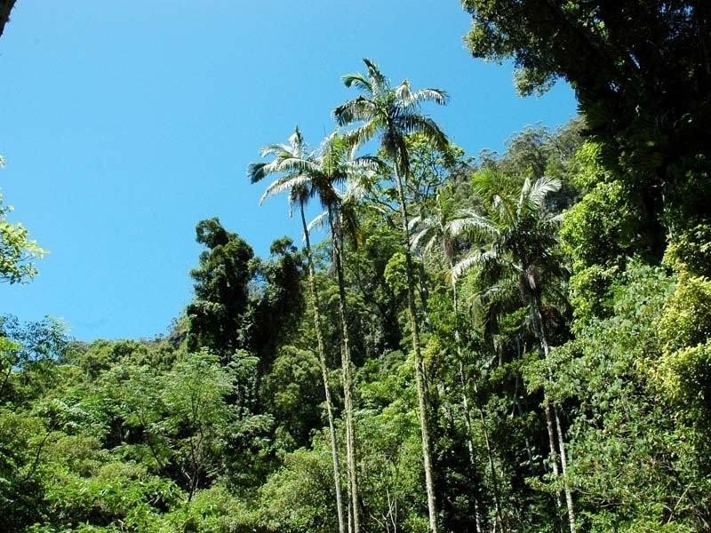 Tallebudgera Valley QLD 4228