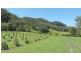 Tallebudgera Valley QLD 4228