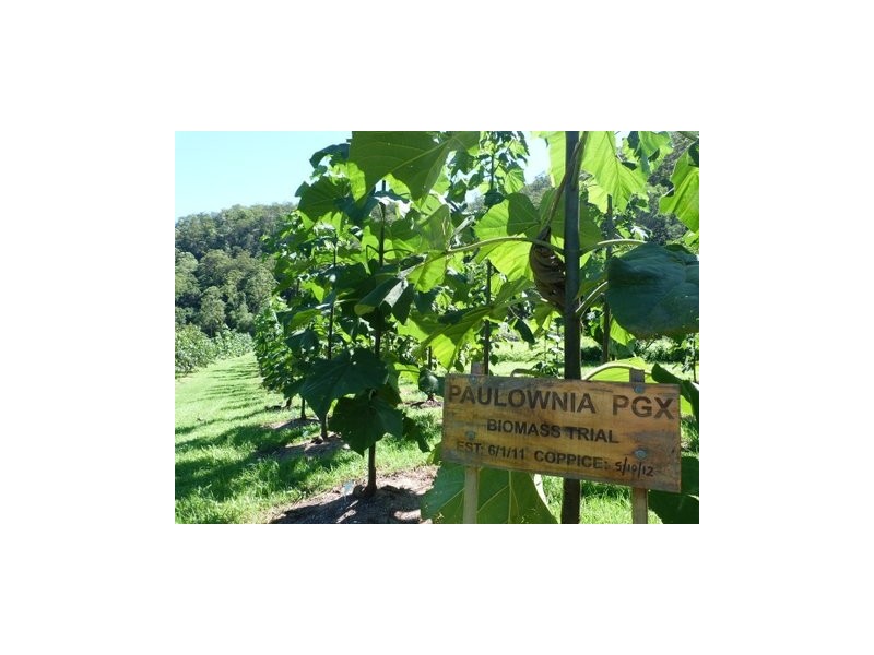 Tallebudgera Valley QLD 4228