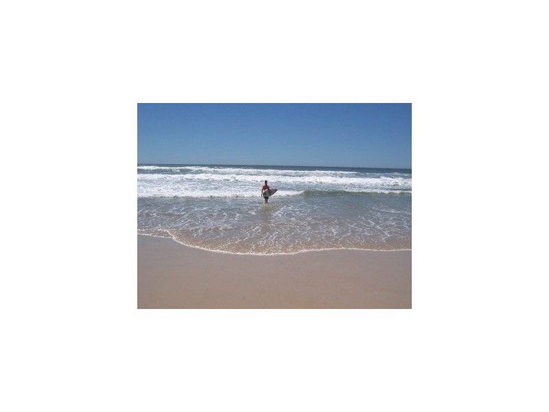 @36 Peerless Avenue, Mermaid Beach QLD 4218