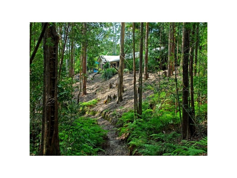 50 Luxton Court, Tallebudgera Valley QLD 4228