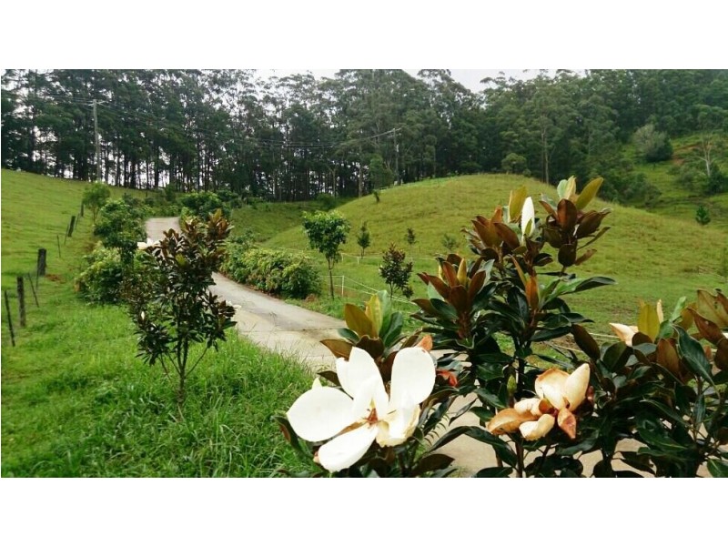 1484 Currumbin Creek Road, Currumbin Valley QLD 4223