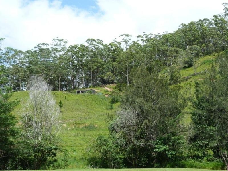 1484 Currumbin Creek Road, Currumbin Valley QLD 4223